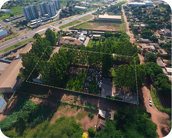 Expansão generativa